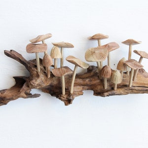 Wooden Mushroom Wall Art, 3d Sculpture Wall Art, Tapestry Wall Hanging, Home Decor Wall Art, Vintage Wall Decor, Handmade Decor,Gift For Her image 5