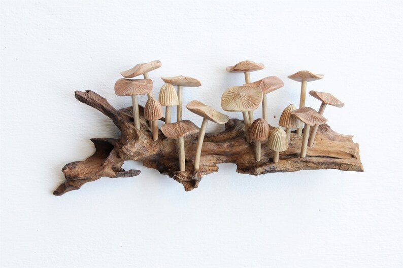 Wooden Mushroom Wall Art, 3d Sculpture Wall Art, Tapestry Wall Hanging, Home Decor Wall Art, Vintage Wall Decor, Handmade Decor,Gift For Her image 5