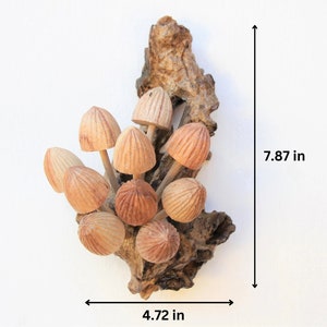 May include: A cluster of 12 wooden mushrooms attached to a piece of driftwood. The mushrooms are painted in shades of brown and beige. The piece measures 7.87 inches tall and 4.72 inches wide.