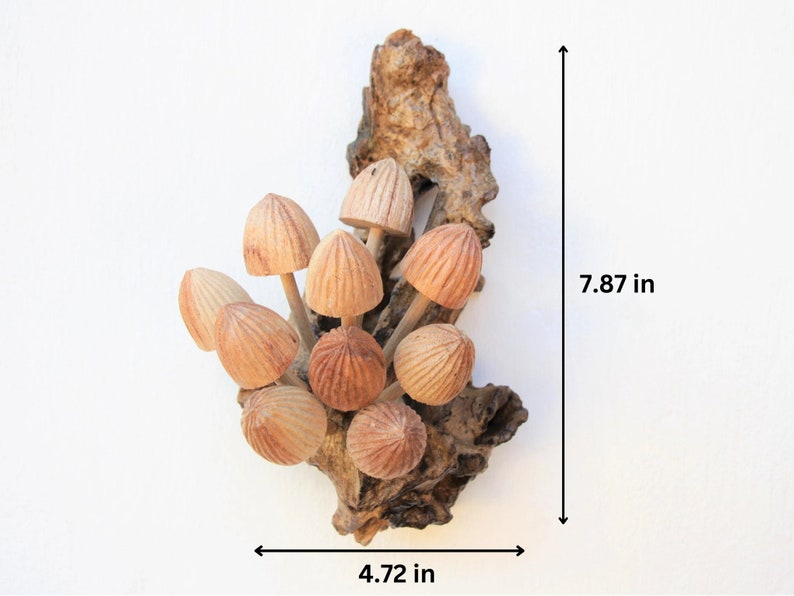 May include: A cluster of 12 wooden mushrooms attached to a piece of driftwood. The mushrooms are painted in shades of brown and beige. The piece measures 7.87 inches tall and 4.72 inches wide.