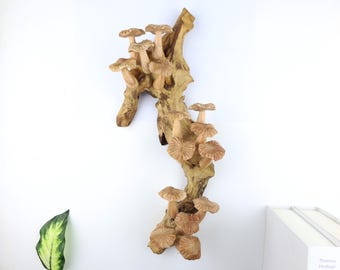 15" Vertical Wood Mushroom Wall Art, Chanterelle Sculpture, Woodland Decor, Handcrafted Driftwood Wall Decor, Rustic Nature Gift