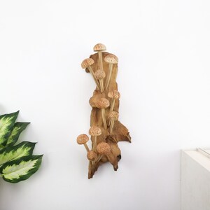 Hand-Carved Wooden Mushroom Wall Art | Driftwood Wall Decor | Rustic Cottagecore Decor | Woodland Fairycore Art | Christmas Gift Idea image 5