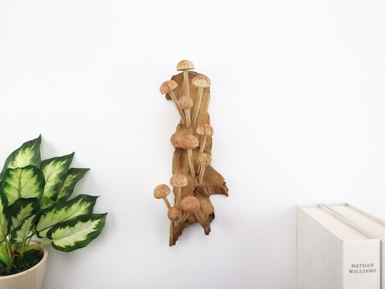 Hand-Carved Wooden Mushroom Wall Art | Driftwood Wall Decor | Rustic Cottagecore Decor | Woodland Fairycore Art | Christmas Gift Idea image 5
