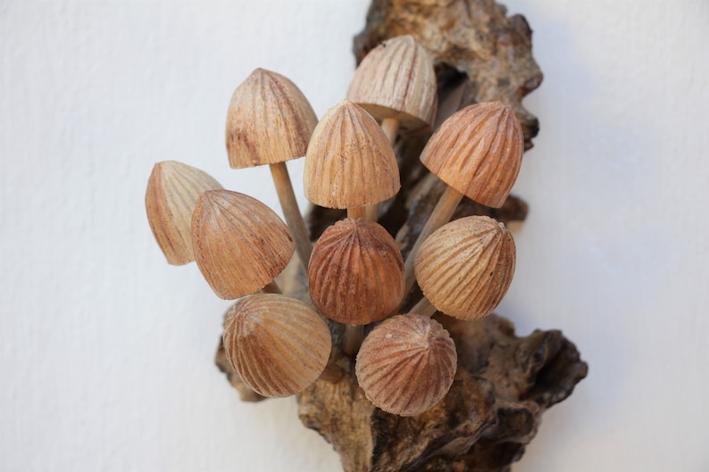 May include: A cluster of wooden mushrooms, each with a unique texture and shape, are arranged on a piece of driftwood. The mushrooms are a light brown color and have a natural, rustic look.