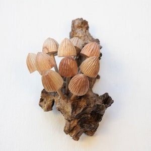 May include: A cluster of wooden mushrooms, carved in detail, are attached to a piece of driftwood. The mushrooms are a light brown color and have a natural wood grain.