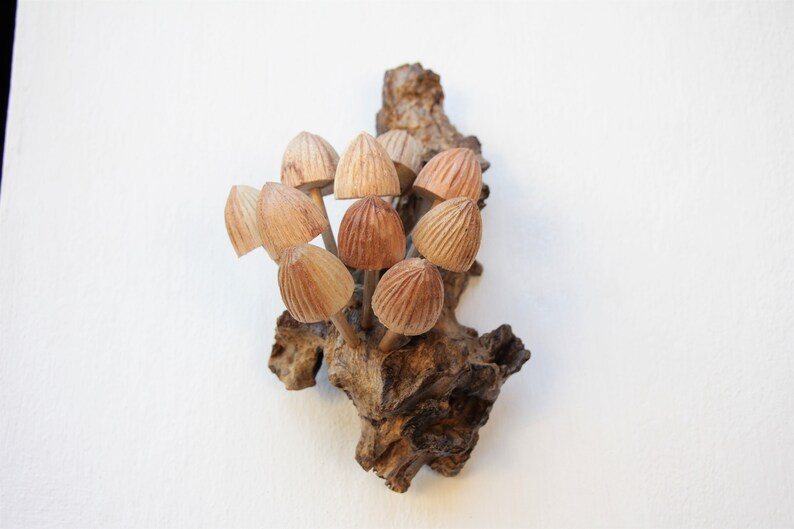 May include: A cluster of wooden mushrooms, carved in detail, are attached to a piece of driftwood. The mushrooms are a light brown color and have a natural wood grain.