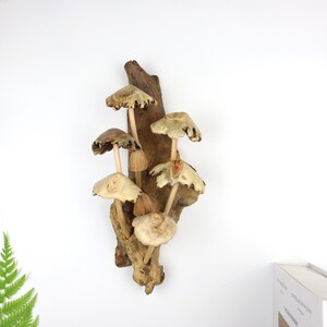 Driftwood Mushroom Wall Art, Hand Carved Fungi Colony Sculpture, Vertical Forest Wall Decor, Unique Botanical Carving, Nature Gift, Wood Art image 3