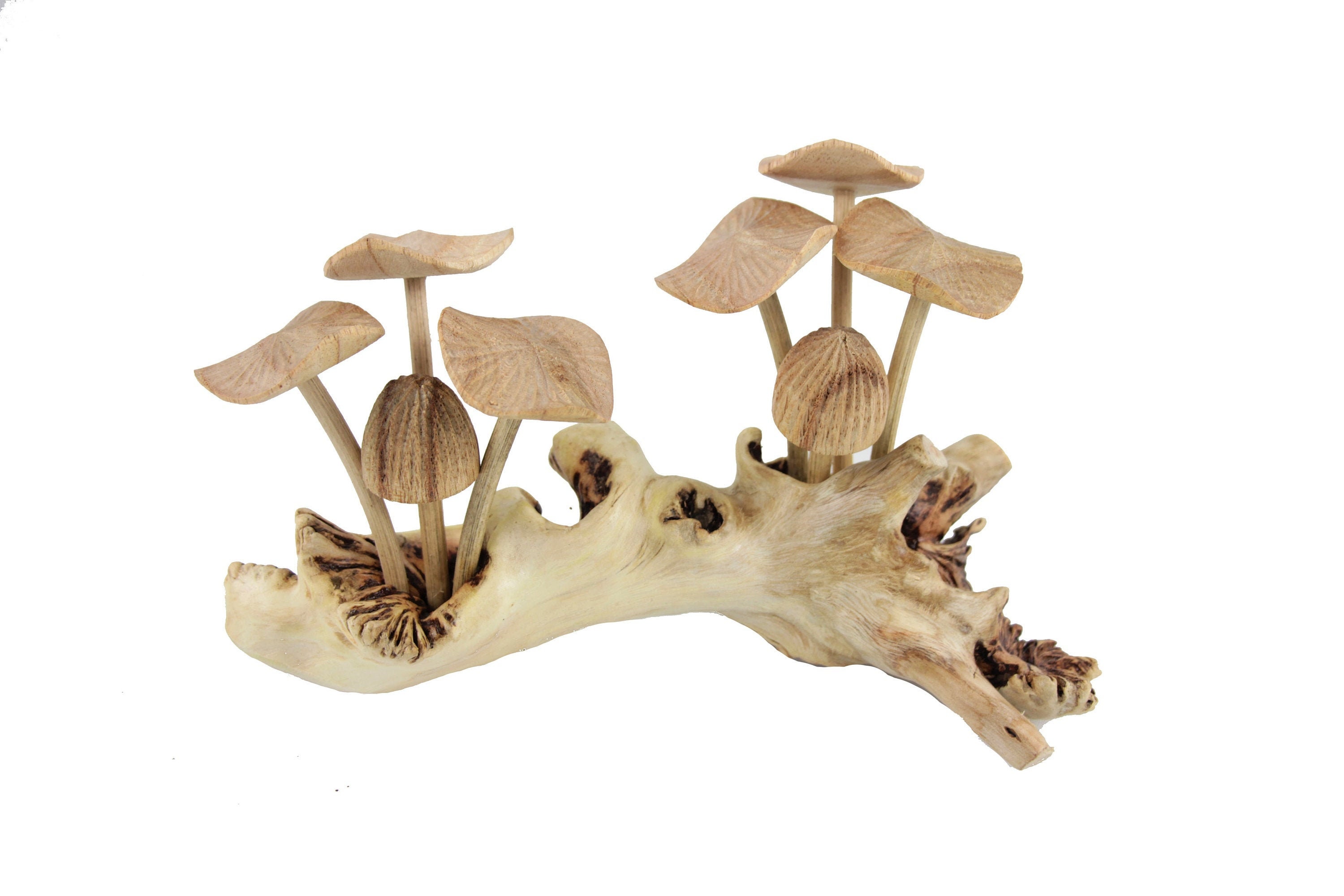 Groupe de champignons, bois de paulownia, décoration  automne, sculpture bois H33cm L30cm-01606