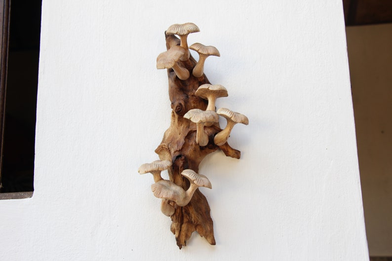 Wall Hanging Wooden Mushroom Deco, Mushroom Wall Art, Handcrafted Wall Hanging, Rustic Nature-inspired Art, Unique Gift, Mothers Day Gift. image 5