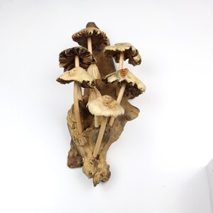 Driftwood Mushroom Wall Art, Hand Carved Fungi Colony Sculpture, Vertical Forest Wall Decor, Unique Botanical Carving, Nature Gift, Wood Art image 6