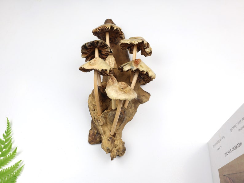 Driftwood Mushroom Wall Art, Hand Carved Fungi Colony Sculpture, Vertical Forest Wall Decor, Unique Botanical Carving, Nature Gift, Wood Art image 6