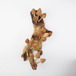 Mushroom Wall Art, Wooden Forest Wall Art, Driftwood Sculpture, Woodland Decor, Artisan Wood Gift, Nature Lover Gift, Wood Anniversary Gift image 4