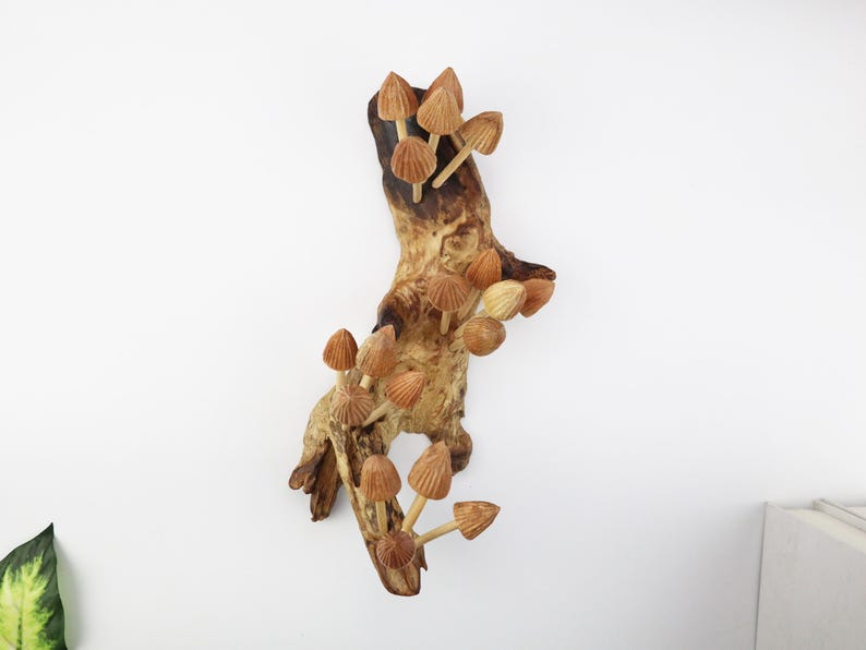 Mushroom Wall Art, Wooden Forest Wall Art, Driftwood Sculpture, Woodland Decor, Artisan Wood Gift, Nature Lover Gift, Wood Anniversary Gift image 4