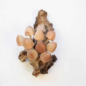 May include: A cluster of wooden mushrooms attached to a piece of driftwood. The mushrooms are painted in shades of brown and beige.