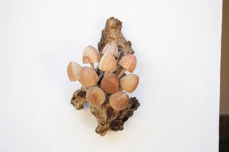 May include: A cluster of wooden mushrooms attached to a piece of driftwood. The mushrooms are painted in shades of brown and beige.