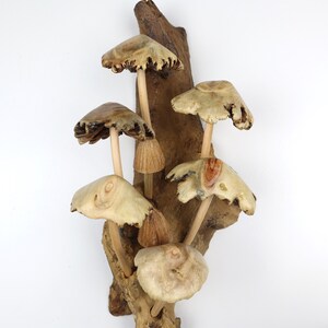 May include: A wooden wall sculpture featuring a cluster of carved mushrooms with brown and beige caps and stems. The mushrooms are attached to a piece of driftwood.
