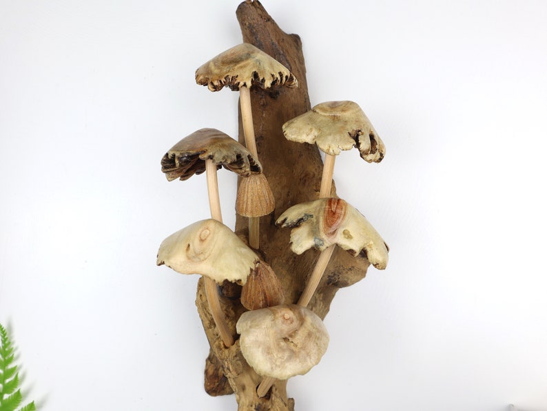 May include: A wooden wall sculpture featuring a cluster of carved mushrooms with brown and beige caps and stems. The mushrooms are attached to a piece of driftwood.