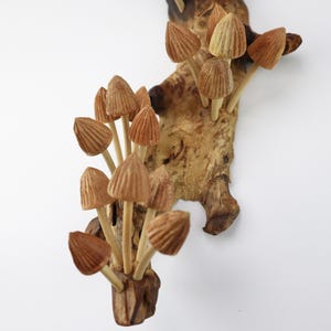 Mushroom Wall Art, Wooden Forest Wall Art, Driftwood Sculpture, Woodland Decor, Artisan Wood Gift, Nature Lover Gift, Wood Anniversary Gift image 8