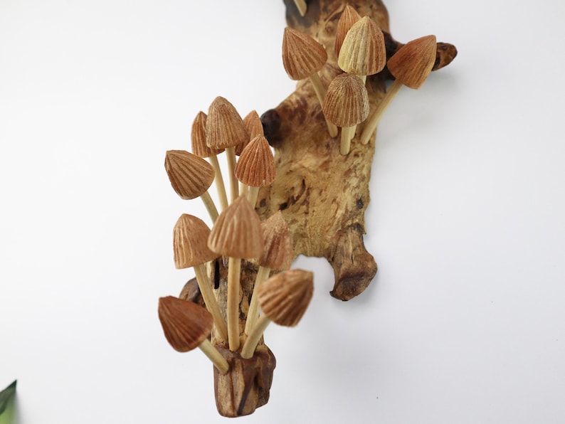 Mushroom Wall Art, Wooden Forest Wall Art, Driftwood Sculpture, Woodland Decor, Artisan Wood Gift, Nature Lover Gift, Wood Anniversary Gift image 8