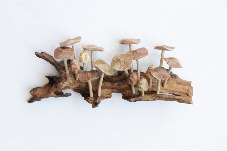 Wooden Mushroom Wall Art, 3d Sculpture Wall Art, Tapestry Wall Hanging, Home Decor Wall Art, Vintage Wall Decor, Handmade Decor,Gift For Her image 3