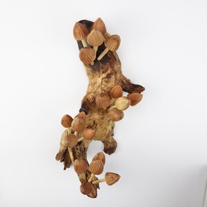Mushroom Wall Art, Wooden Forest Wall Art, Driftwood Sculpture, Woodland Decor, Artisan Wood Gift, Nature Lover Gift, Wood Anniversary Gift image 6