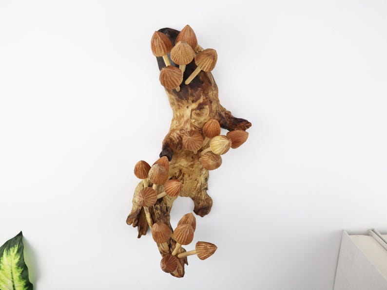 Mushroom Wall Art, Wooden Forest Wall Art, Driftwood Sculpture, Woodland Decor, Artisan Wood Gift, Nature Lover Gift, Wood Anniversary Gift image 6