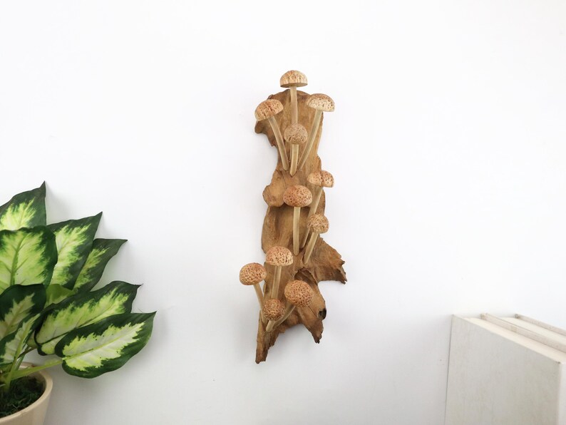 Hand-Carved Wooden Mushroom Wall Art | Driftwood Wall Decor | Rustic Cottagecore Decor | Woodland Fairycore Art | Christmas Gift Idea image 2