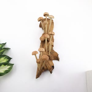 Hand-Carved Wooden Mushroom Wall Art | Driftwood Wall Decor | Rustic Cottagecore Decor | Woodland Fairycore Art | Christmas Gift Idea image 4