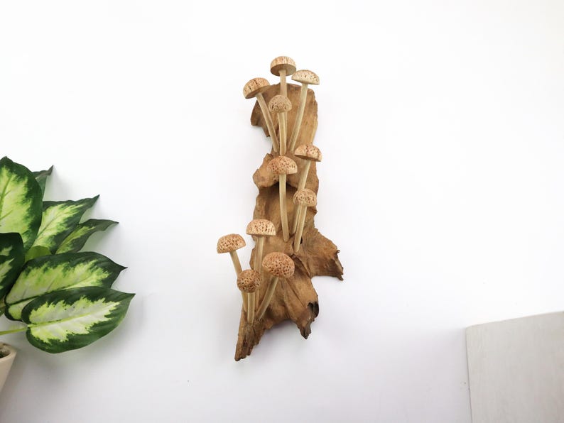 Hand-Carved Wooden Mushroom Wall Art | Driftwood Wall Decor | Rustic Cottagecore Decor | Woodland Fairycore Art | Christmas Gift Idea image 4