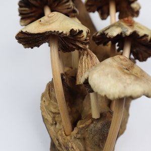 Driftwood Mushroom Wall Art, Hand Carved Fungi Colony Sculpture, Vertical Forest Wall Decor, Unique Botanical Carving, Nature Gift, Wood Art image 8