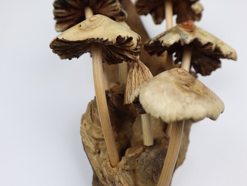 Driftwood Mushroom Wall Art, Hand Carved Fungi Colony Sculpture, Vertical Forest Wall Decor, Unique Botanical Carving, Nature Gift, Wood Art image 8