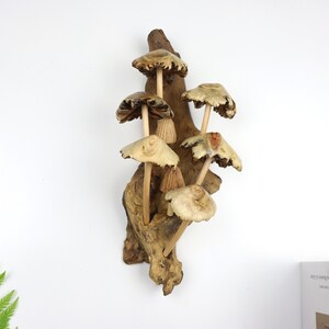 Driftwood Mushroom Wall Art, Hand Carved Fungi Colony Sculpture, Vertical Forest Wall Decor, Unique Botanical Carving, Nature Gift, Wood Art image 4