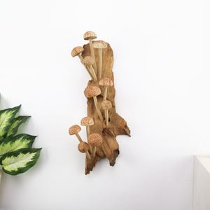 Hand-Carved Wooden Mushroom Wall Art | Driftwood Wall Decor | Rustic Cottagecore Decor | Woodland Fairycore Art | Christmas Gift Idea image 3
