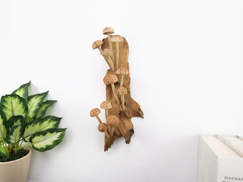Hand-Carved Wooden Mushroom Wall Art | Driftwood Wall Decor | Rustic Cottagecore Decor | Woodland Fairycore Art | Christmas Gift Idea image 3
