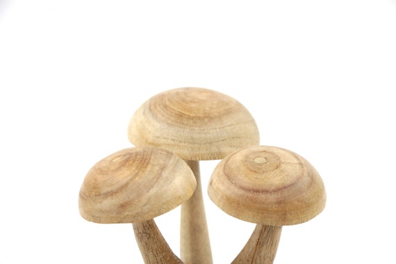 4 champignons sculptés en bois - La Boutique du Champignon