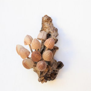 May include: A wooden wall decor featuring a cluster of carved wooden mushrooms attached to a piece of driftwood.