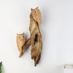 May include: Two wooden owls perched on a driftwood branch. The owls are carved with detailed features and have a natural wood finish.