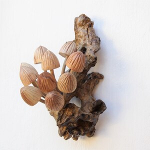 May include: A wooden sculpture of a cluster of mushrooms attached to a piece of driftwood. The mushrooms are carved in detail and have a light brown color.