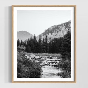 South Dakota Art - Spearfish Canyon Print, Black Hills SD, Landscape Photography, Black and White or Color Option