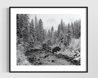 Montana Art - Black and White Photography, Snowy Forest, Montana Landscape Print