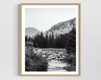 Spearfish Canyon Print, South Dakota Wall Art, Black Hills Photography, Black and White or Color, Unframed Picture