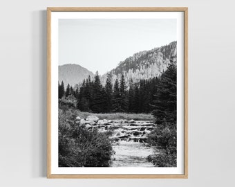 South Dakota Art - Spearfish Canyon Print, Black Hills SD, Landscape Photography, Black and White or Color Option