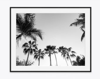 Palm Tree Photo - Florida Photography, Black and White Wall Art, Tropical Home Decor