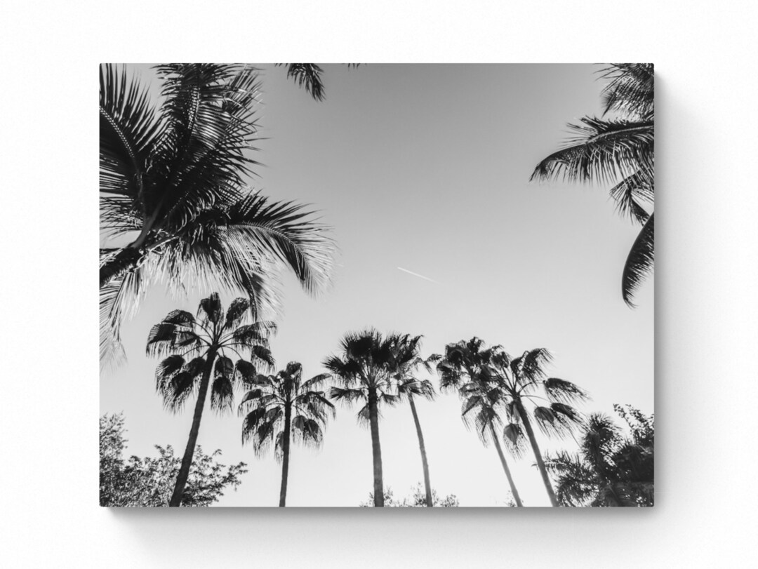Palm Tree Canvas Art, Black and White Beach Photography, Beach