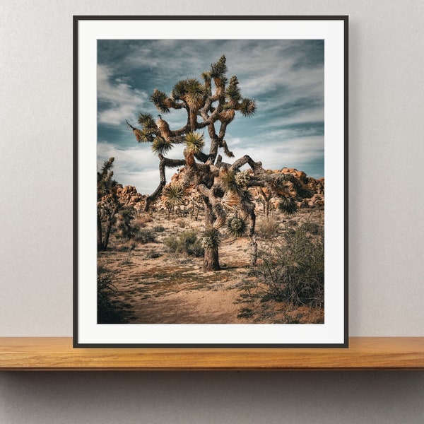 Joshua Tree Print - Desert Landscape Photography, Southwestern Wall Decor, California National Park, Unframed Print