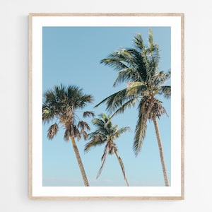 Palm Tree Photography Print, Trio of Palms, Florida Coastal Wall Art, Summer Home Decor, Unframed Picture