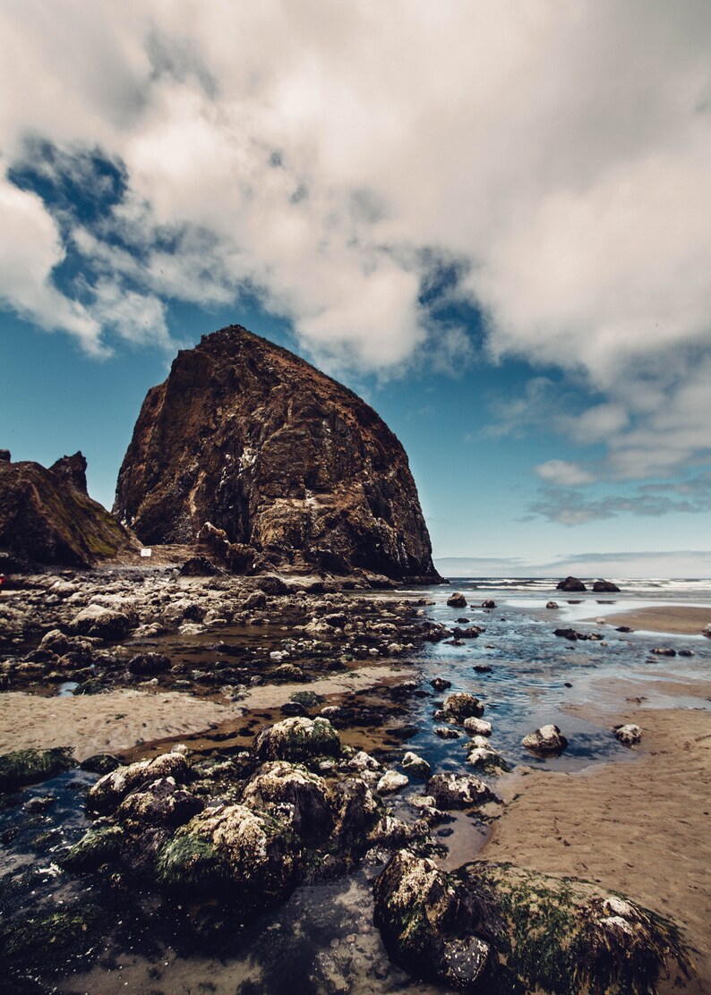 Summer Coastal Photography Haystack Rock Canon Beach Tidepool Oregon Coast