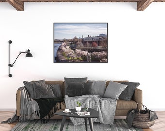 May include: A framed photograph of a city skyline with a river and trees in the foreground. The trees are in bloom with pink flowers. The photo is hanging on a white wall above a brown couch with gray throw pillows and blankets.