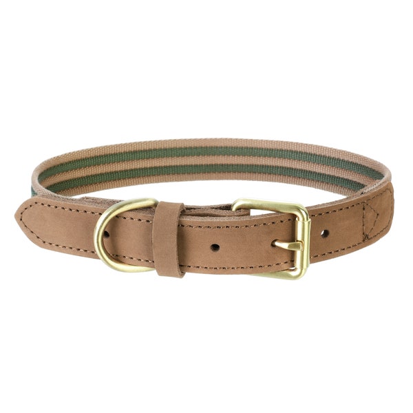 Premium Canvas Leather Dog Collar | Zinc Alloy Pin Buckle Ring Dog Collar | Genuine Leather Belt Collar