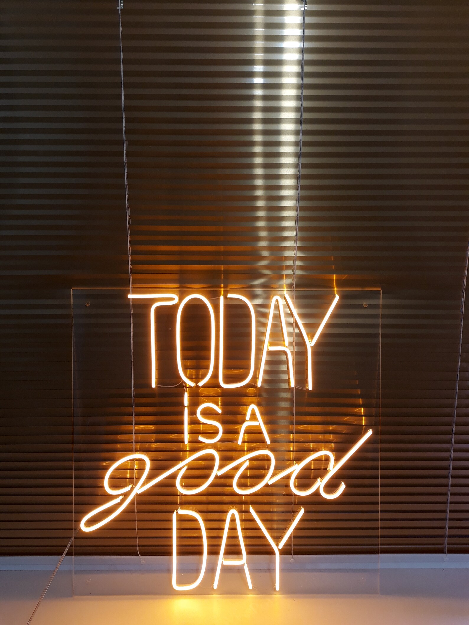 Today is a good day Neon Sign Flex Neon Light Custom Neon Sign Etsy